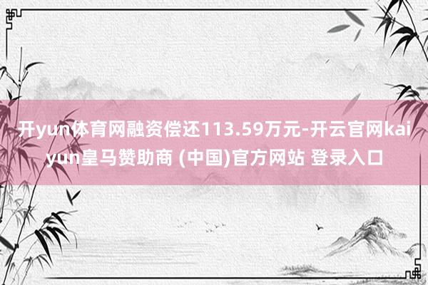 开yun体育网融资偿还113.59万元-开云官网kaiyun皇马赞助商 (中国)官方网站 登录入口